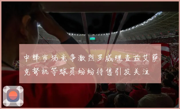 中锋市场竞争激烈罗威理查兹艾萨克弩机等球员纷纷待售引发关注