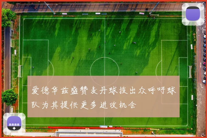 爱德华兹盛赞麦丹球技出众呼吁球队为其提供更多进攻机会