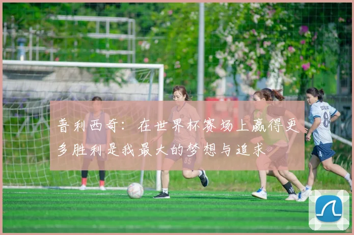 普利西奇：在世界杯赛场上赢得更多胜利是我最大的梦想与追求
