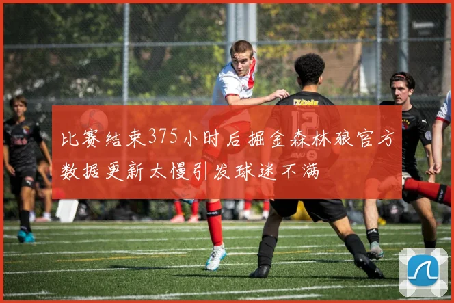 比赛结束375小时后掘金森林狼官方数据更新太慢引发球迷不满