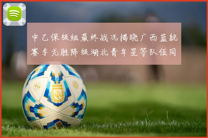 中乙保级组最终战况揭晓广西蓝航赛季无胜降级湖北青年星等队伍同遭降级