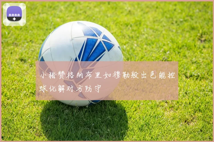 小猪赞格纳布里如穆勒般出色能控球化解对方防守
